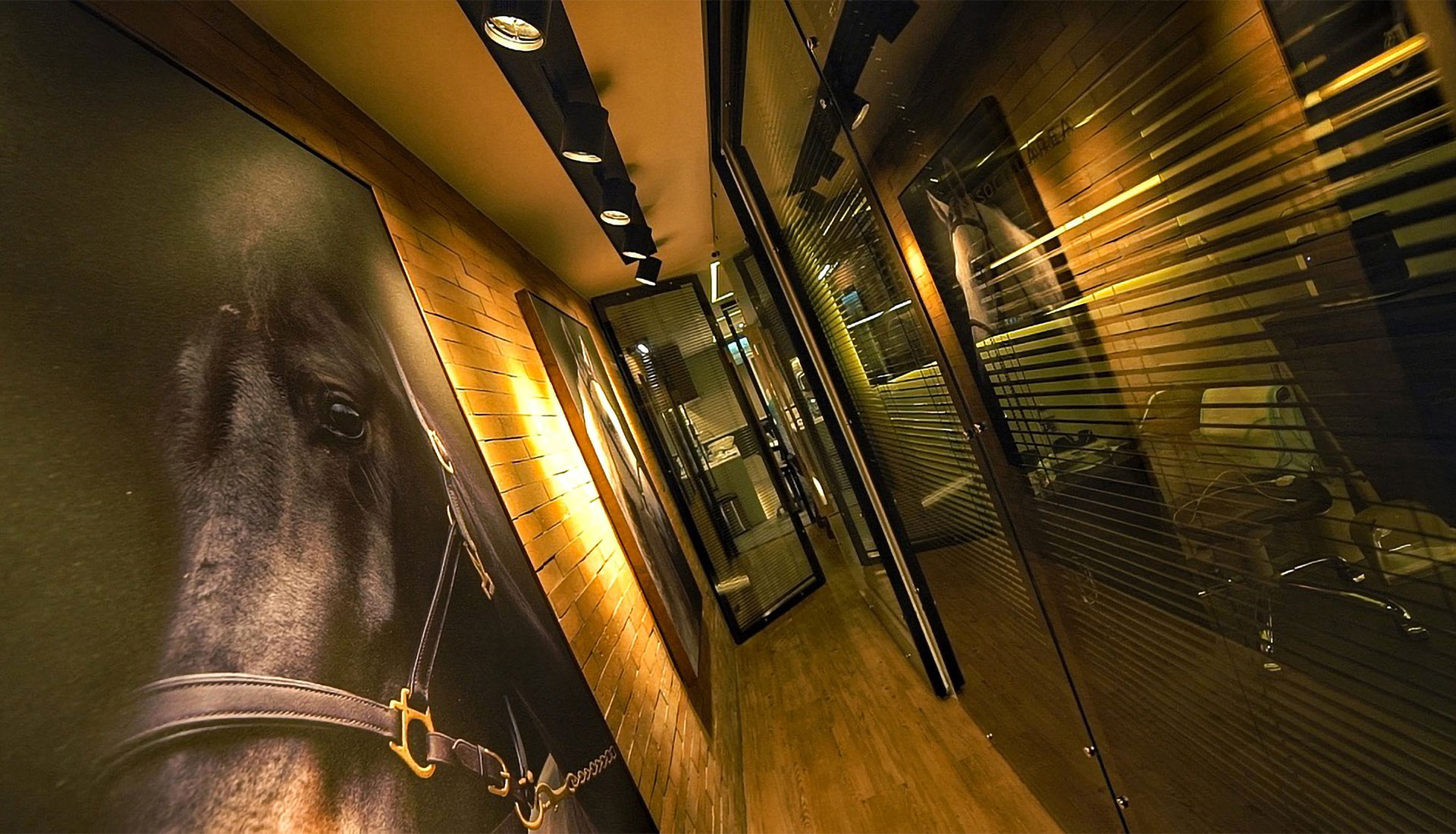 Site-Novo-Galeria01